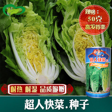 超人快菜种子四季小白菜种籽小青菜籽娃娃菜阳台盆栽四季蔬菜种孑