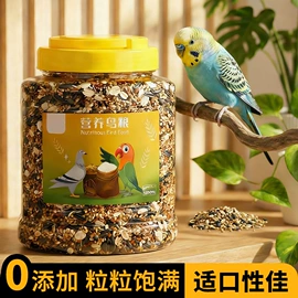 狗狗服装;猫砂;猫猫服饰