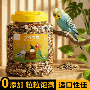 ��ɫ�����B�Z��Ƥĵ�����P�S�����W�^�Bʳ��ϠI�B�ZС������B�Z