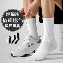 ��ɫ�LͲ���m�ﶬ���޶��m�W���Ứ������W���@����Ͳ�m�\�Ӱ�ɫ