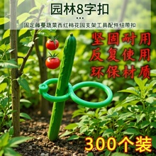 �S�����پ����t�����ǽ�֦�A��ľ�Gֲ�߲������̶���֦�C