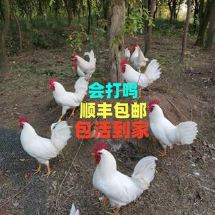 ��S�ןo�së��׹��u������׹��u���Q���uș���ӱ��u���]