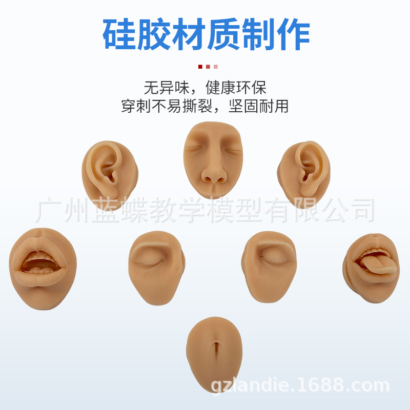 ����轺�����ϰģ�����ִ��׶�������۾�ü����ͷ�촽�궤ѧϰ