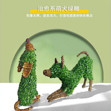 �羳����ֲ��G�񹫈@С�^�Ҿ�ܛ�b�쾰�Ĕz����С�����ܸ߷���