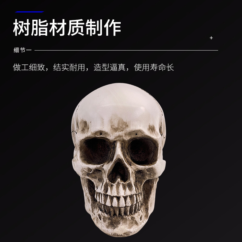 ��֬����ͷ����滭��ͷ���������弡���������ͷ­ͷ��ģ������