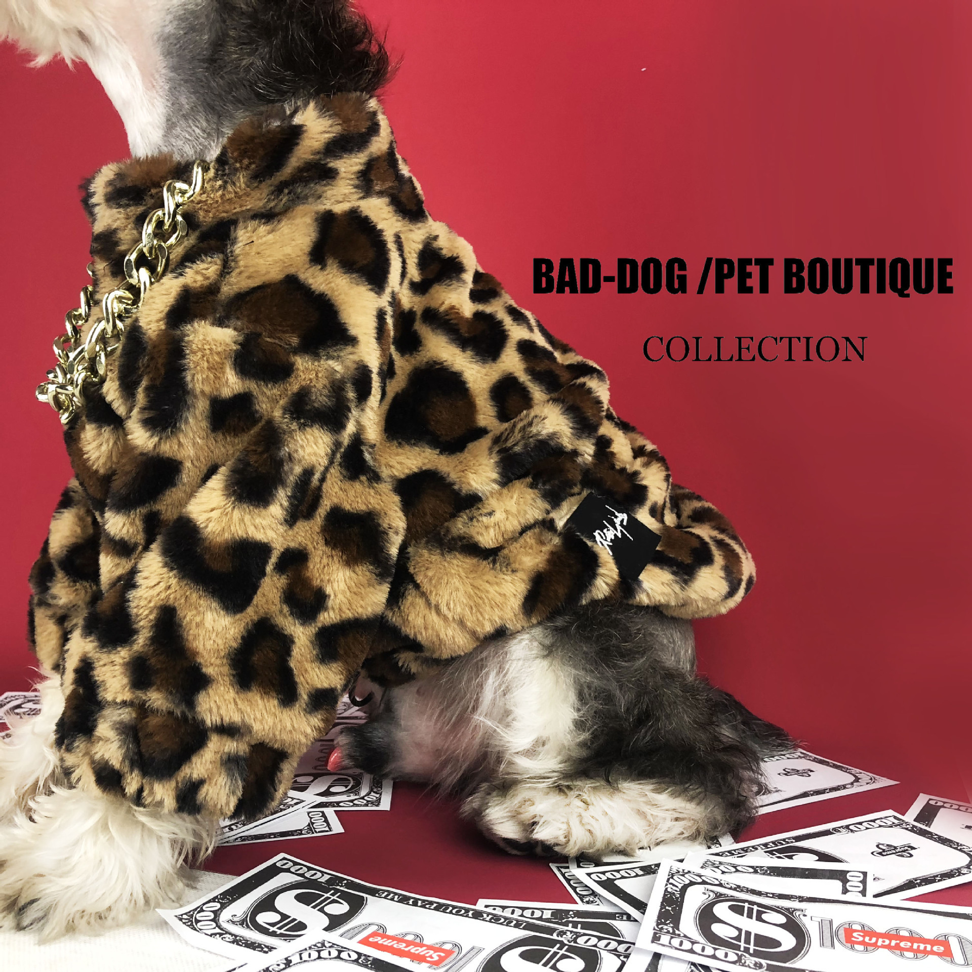 Dog Coat Image 3