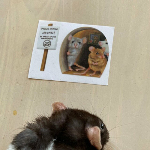 Jue-Fish International Trade Cross-Border Mouse Hole Sticker Home Kitchen Glass Creative Decorative Sticker Fun Sticker