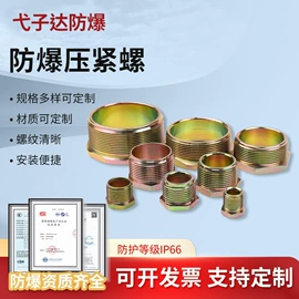 其他防爆器材;接头