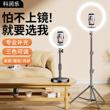 �֙Cֱ��֧���a����O��ȫ�׶����Ĕz�����������������_�����l