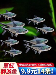 ��β���~Ⱥ�βݸןᎧ��ˮ�~���w�t�~С���~���B�ͻ��^�p�~���l