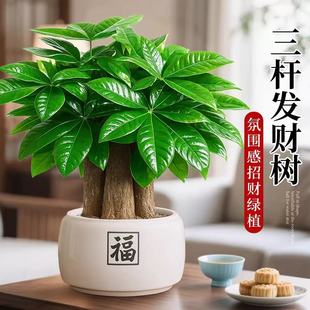 �lؔ��������ؔ��լ�����辰�k���ҾGֲ�҃ȿ͏d��ʽ�U���ļ�ֲ��