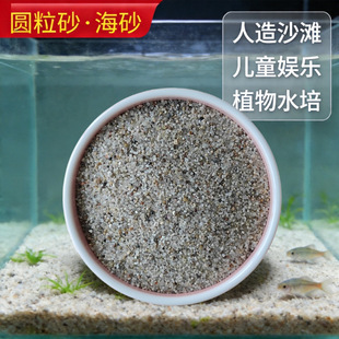�A��ɰ��ͯ�ʘ��o�mˮϴ��ɰ������|��ɳ�ӵ��쾰�Θ���ɳ��