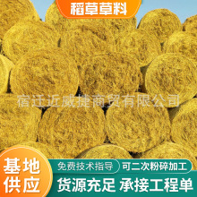 F؛ɵţ ﵾݽն݉| 늏Slȼ