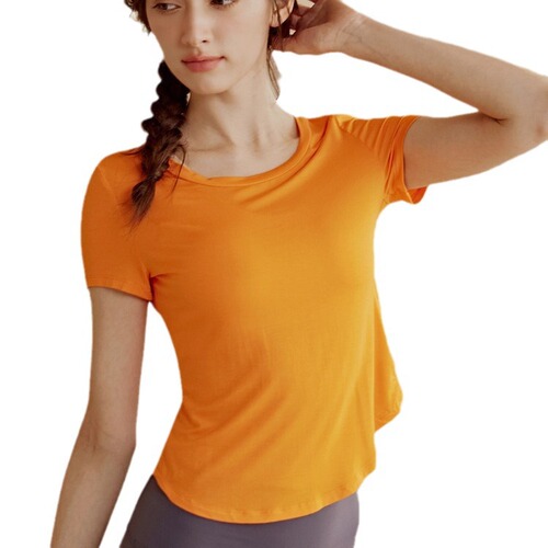 Women's Summer 2024 High-End Yoga Top, Short-Sleeve Fitness Shirt for Gym, Breathable and Quick-Drying
