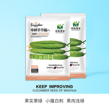 пïA߲˷NsһSϷNӴGС״пƹ