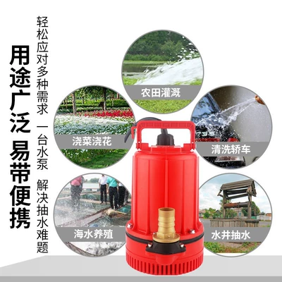 Water pump Used for Spring Farming? Submersible Pump