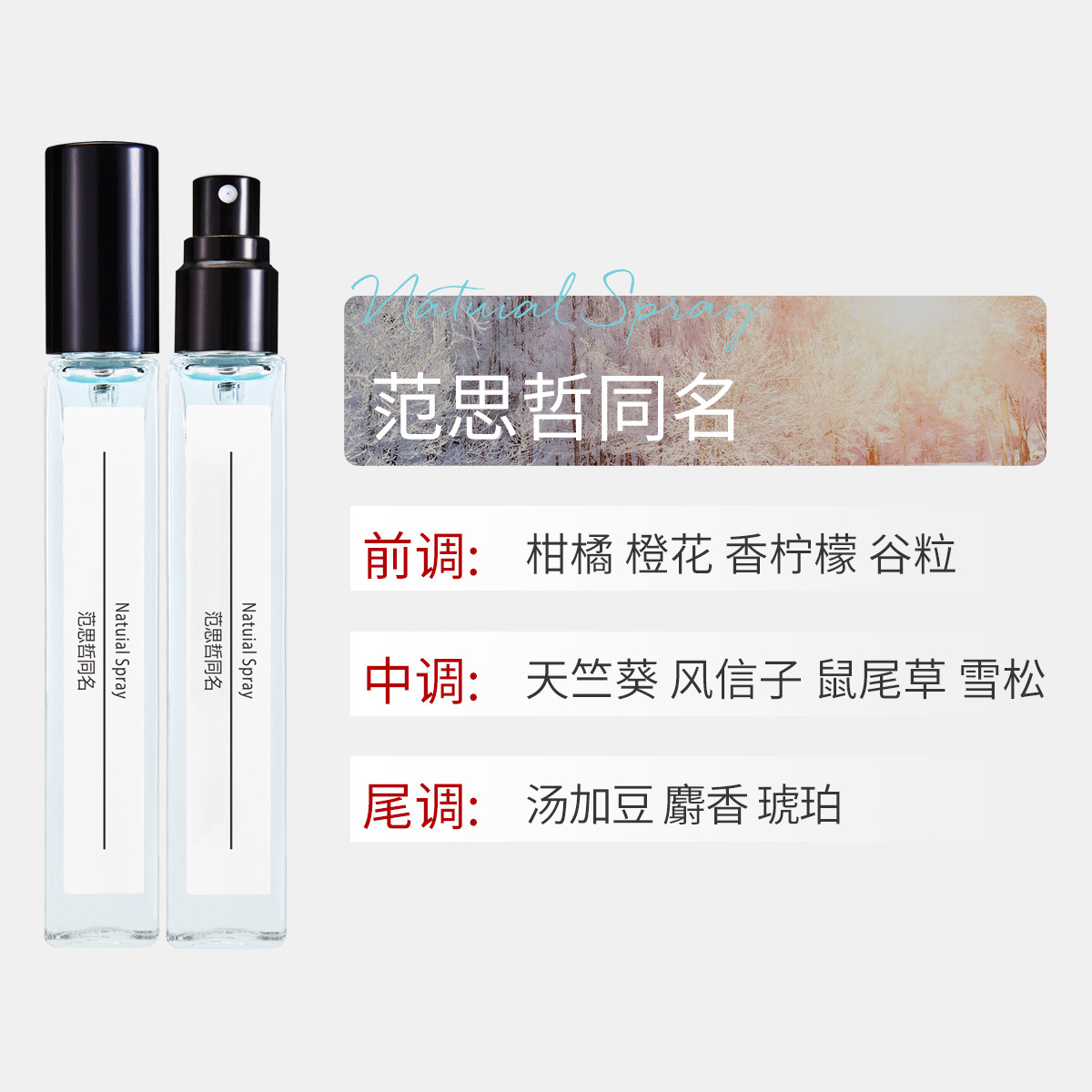 베르사체의 이름