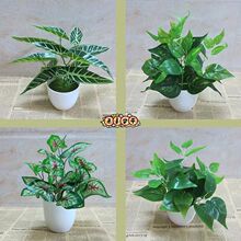 ����Gֲ��ֲ��G�}�廨�ٻ�С�������ϻ��������滨����쾰����