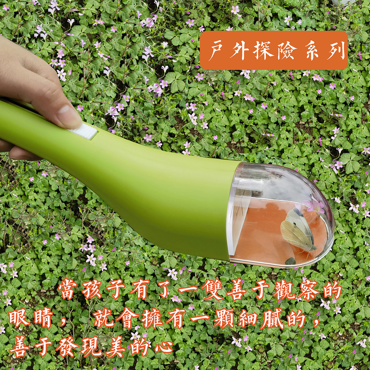 Trazador de insectos de mano Trazador de araña Trazador de insectos de abejas Trazador de cucarachas Insect Catcher