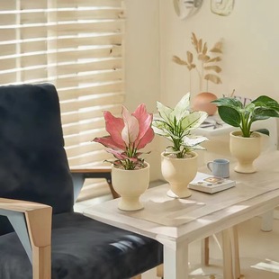 �ļ��������˻������՚��ĳȩ���Win�L�k���҃Ȕ[���Gֲ���Ի���