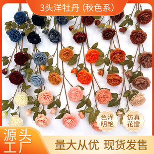 ���滨�ٻ�������c�Ҿ��b�������3�^��ĵ������õ