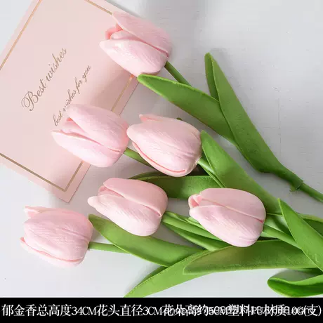 Tulip candy powder