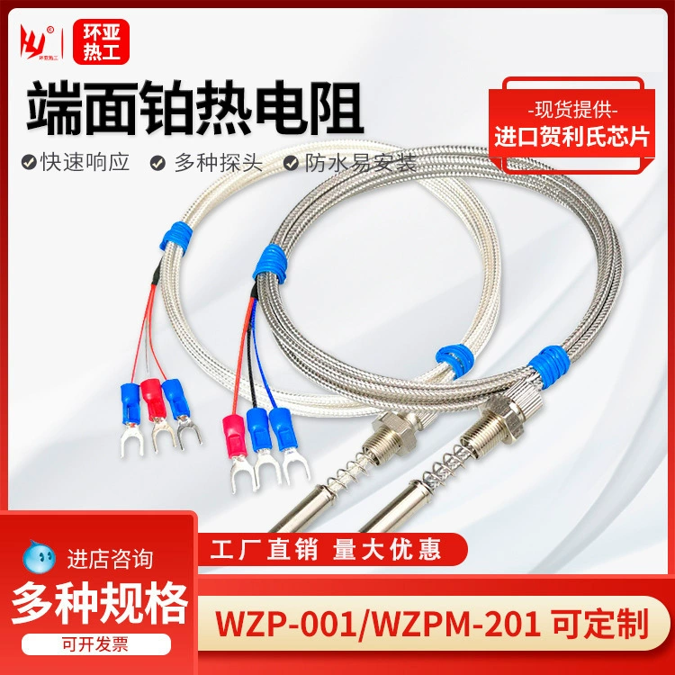 Ветвь двойника термометра ВЗП201М датчика термального сопротивления платины термального сопротивления конца арморед ПТ100