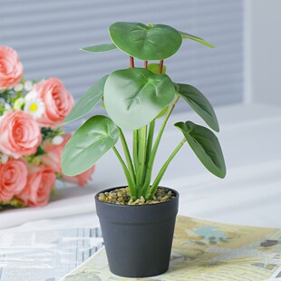 Cross-Border Supply of Simulated Turtle Leaves, Fake Green Plants, Plastic Small Potted Plants, Home Living Room, Shop Window Decoration Ornaments