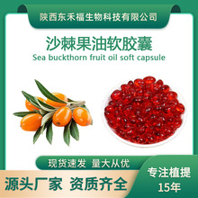 沙棘果油软胶囊 沙棘籽油软胶囊 沙棘黄酮 沙棘果油凝胶糖果