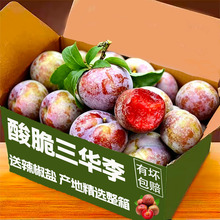 【顺丰包邮】云南三华李应季水果5斤新鲜红心脆甜芙蓉李孕妇整箱