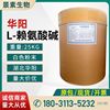 Shelf L- Lysine Food grade Nutrition Enhancer Huayang L- Lysine base 99% Content of amino acids