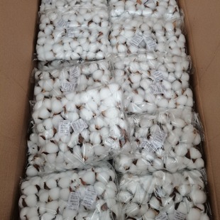 �ɻ��޻����������� �W�t�޻� DIY�Ĕz���߆��^�޻� �ҾӔ[�O�b�