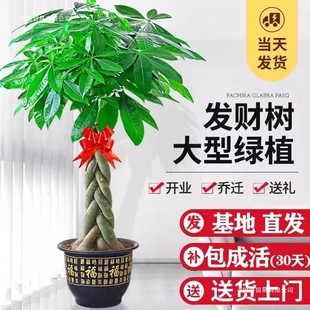 ᾳء����B��lؔ��͏d���Դ����҃ȾGֲ���k���҆��w�_�I