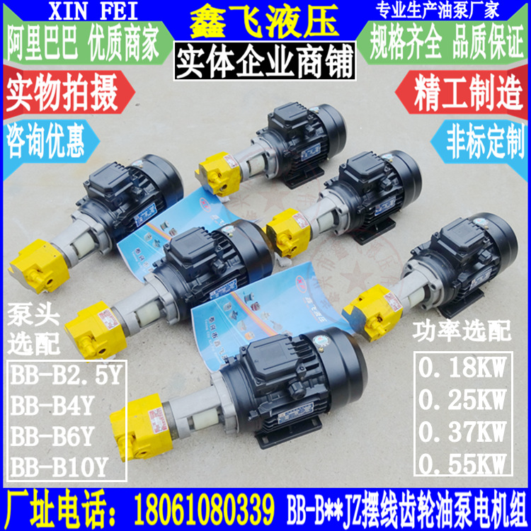 BB-B2.5YJZ B4YJZ B6YJZ B10YJZ摆线齿轮油泵电机组分马力0.25KW