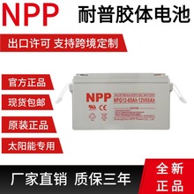 NPP��������NP12-120Ah NPG12-24 12v100AH55A 80A 65a150a200a