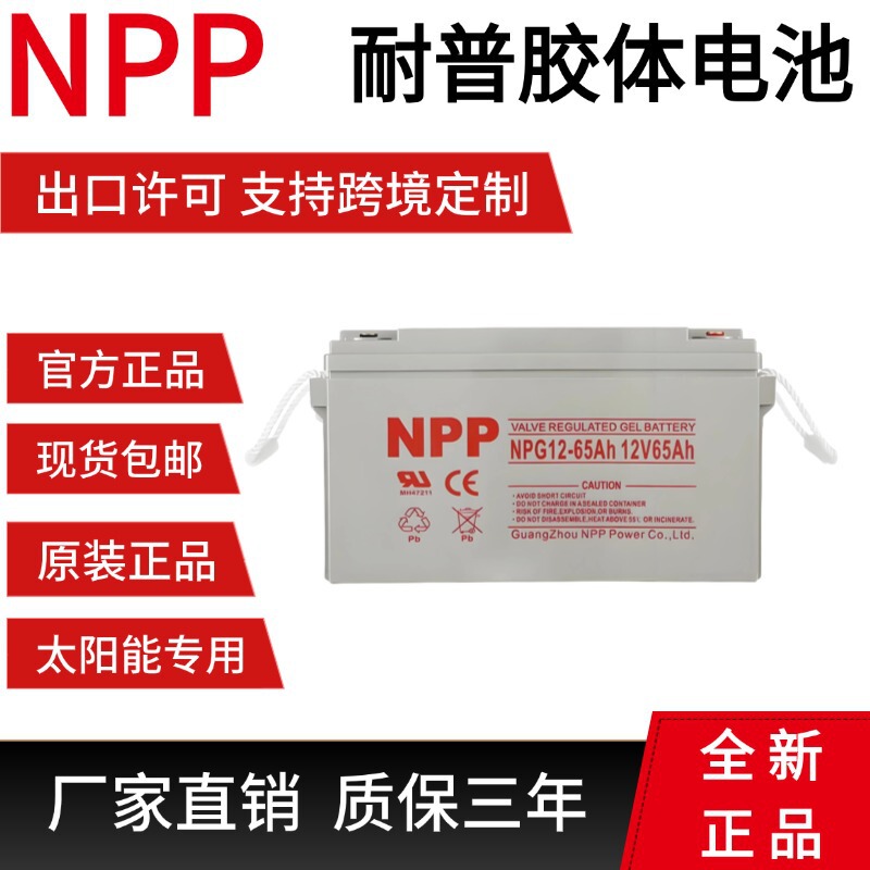 Npp Battery Np12-120Ah Npg12-24 12V100Ah55A 80A 65A150A200A Npp Battery Np12-120Ah Npg12-24 12V100Ah55A 80A 65A150A200A