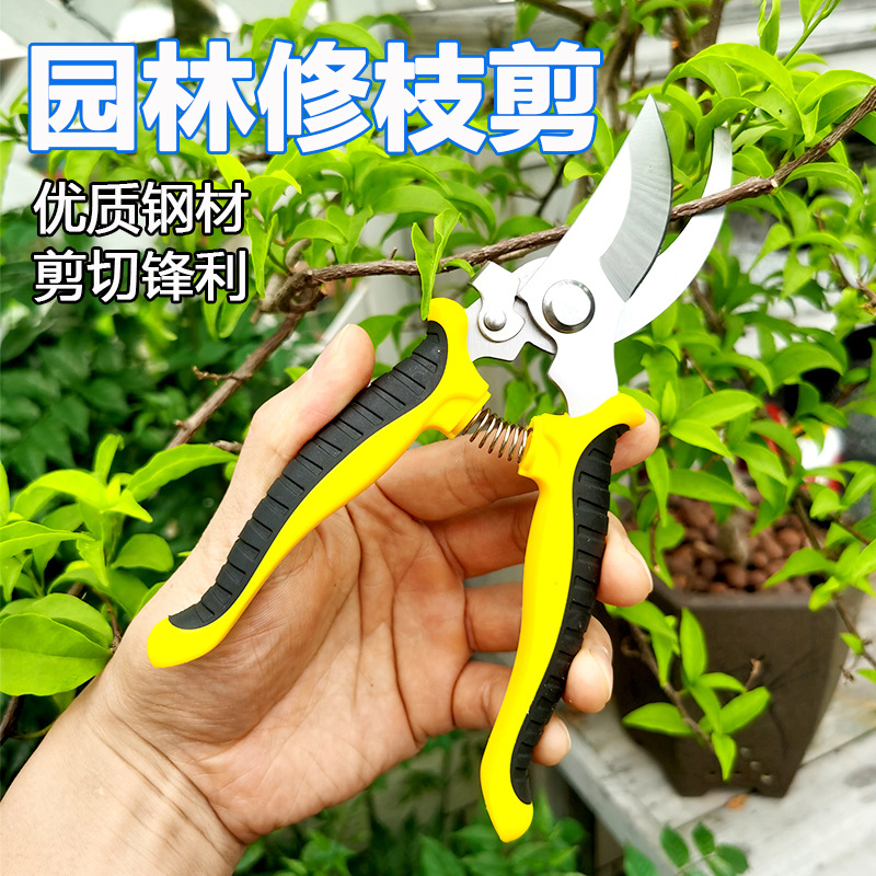 粗枝剪园艺园林剪刀多功能修枝剪树枝剪果枝剪花园摘水果盆栽修饰