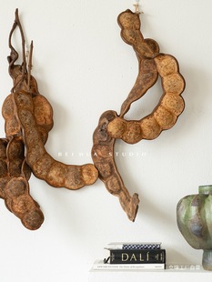 �^�����ޘ}���� �Ꭷ����ƽ�������v������ �Ӽ��̨�N�������b�