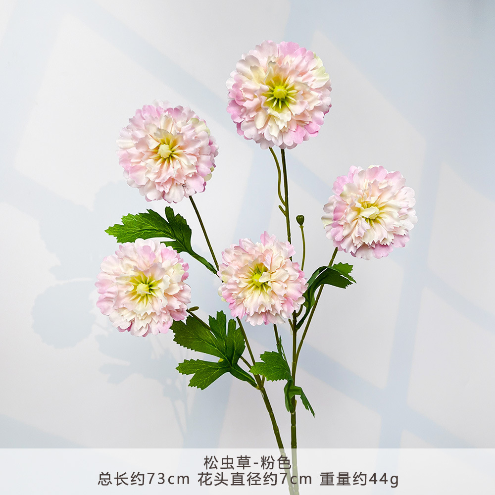 MJ-松虫草-粉色