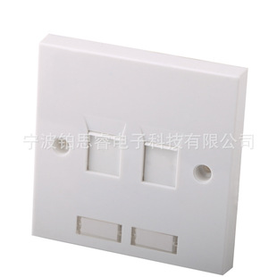Type 86 Dual Port English Network Information Panel RJ45 Telephone Voice Matching Module Panel