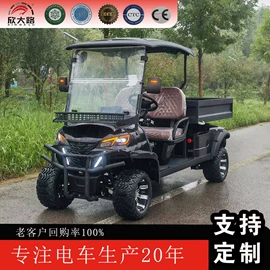 其他电动车;电动观光车