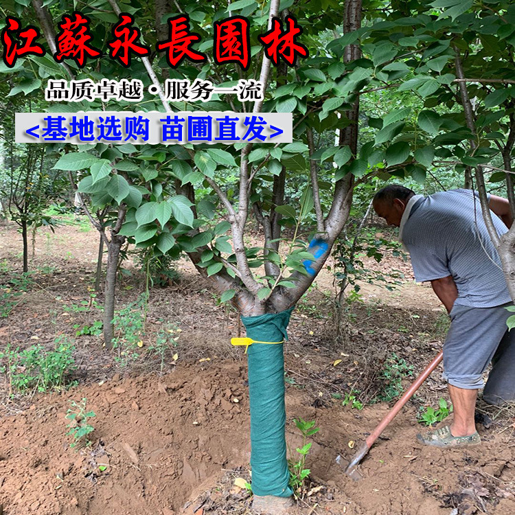 微信图片_2029153003