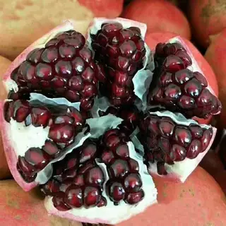 泰山红石榴红皮红心大红石榴果树苗北方南方种植无籽石榴树苗