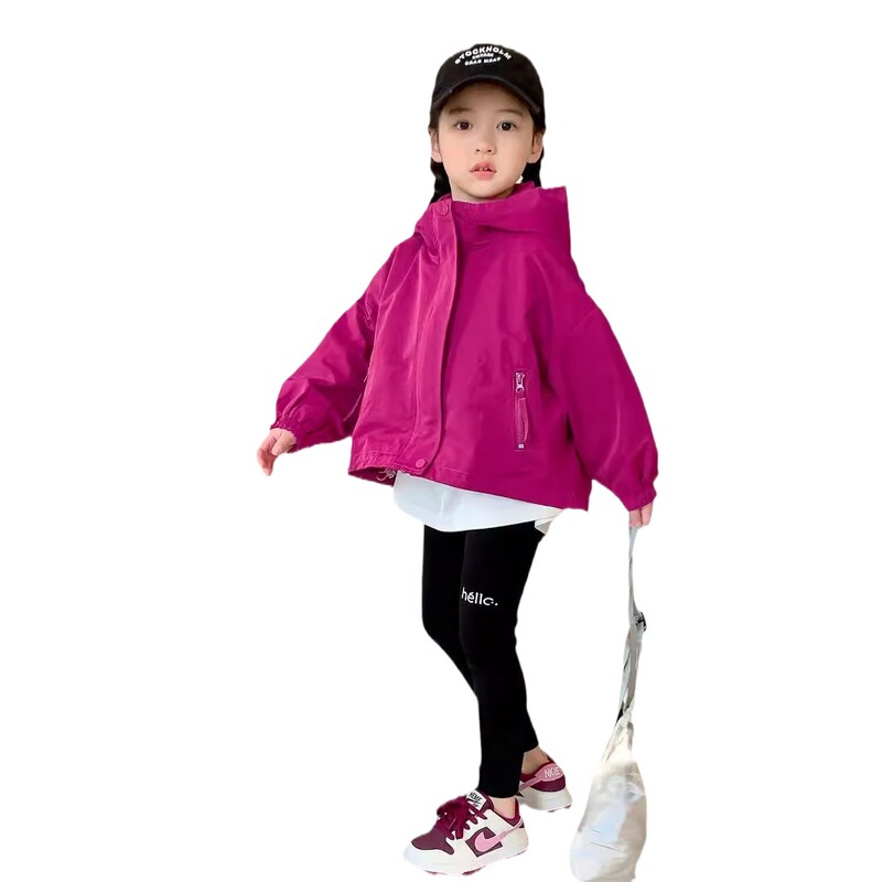 女の子のレギンスの2024春の服の新型の子供服のカジュアルなズボンの洋気の赤ちゃんの身を修めるズボンの子供のズボンの潮|undefined