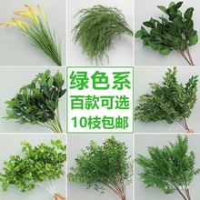 �Gɫ���滨�b��O���~���đ��⻨�Gֲ��ꐲ��������~�����c��ˇ