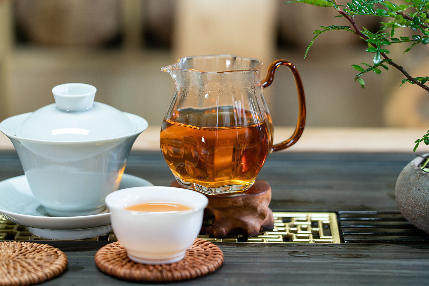 沧江古树晒红 (20)