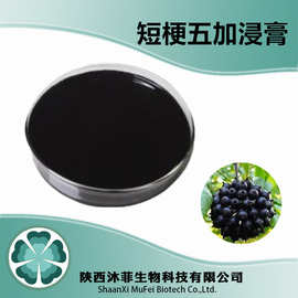 短梗五加提取液浸膏98%  另有各种提取物 生粉 果粉 冻干粉