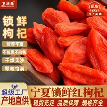 正宗宁夏锁鲜枸杞初鲜构纪无硫无添加无染色中宁锁鲜苟杞子批发