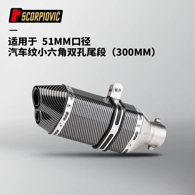 250 450SR 800 250RR, Motorcycle exhaust pipe - fully-imitation-carbon-fiber-small-hexagonal-double-hole-300mm