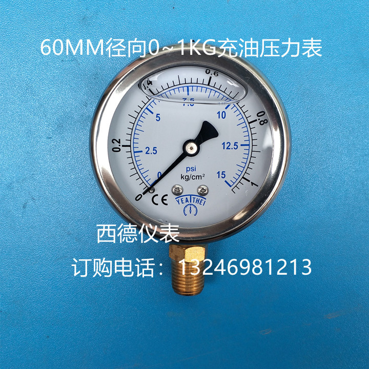 YN60 60MM直立式0－1KG/15PSI充油耐震压力表 充油抗振压力表